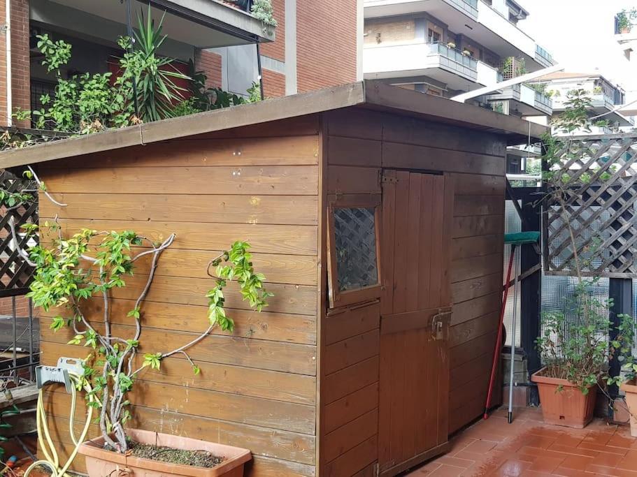 Apartment Monteverde Twentyseven27: Very Open Space *